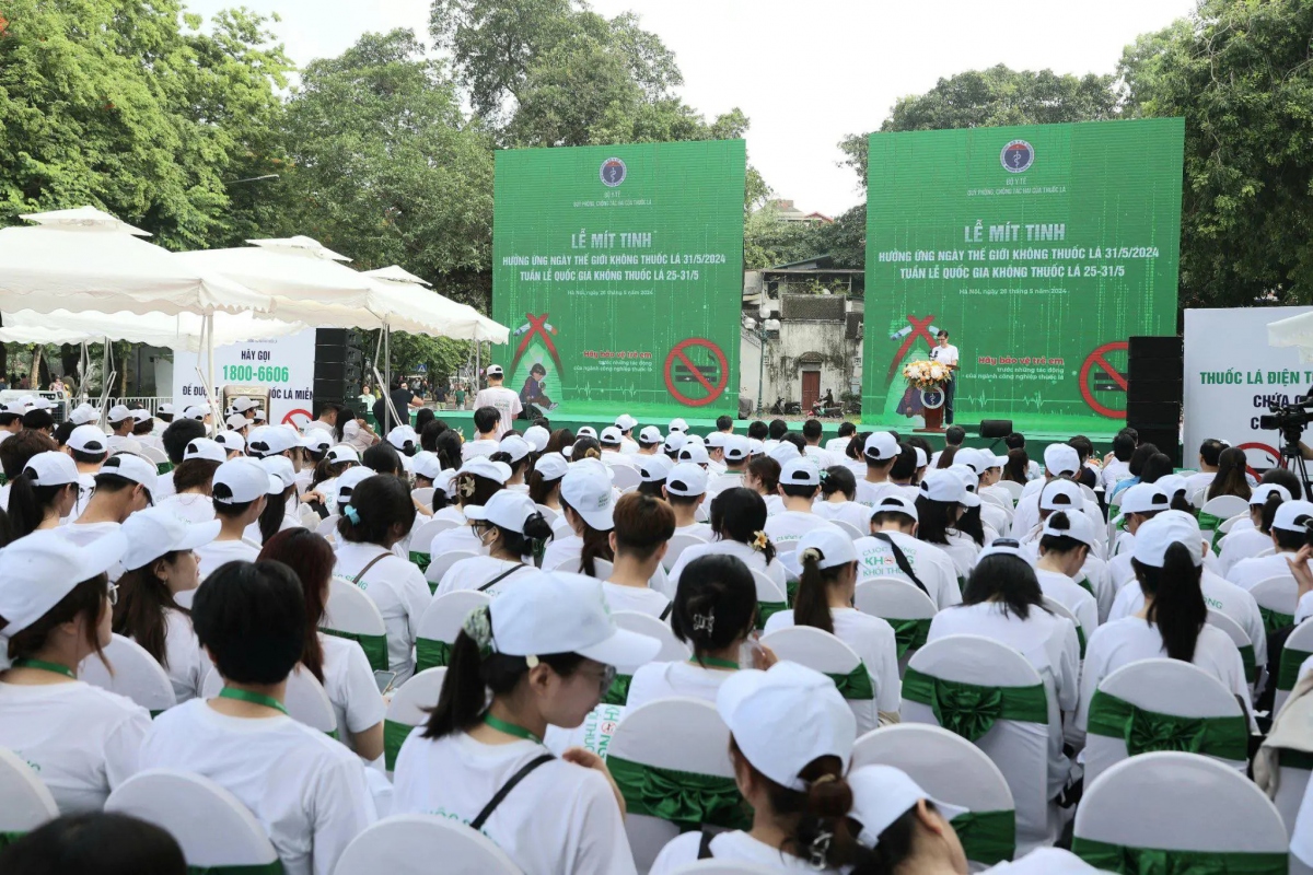 Hanoi meeting marks World No Tobacco Day 2024